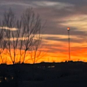 Meet your Posher, Elsie